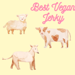 best vegan jerky